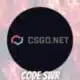 CSGONet